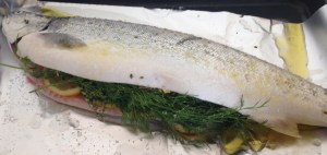 sea trout with lemon, lemon thyme and dill